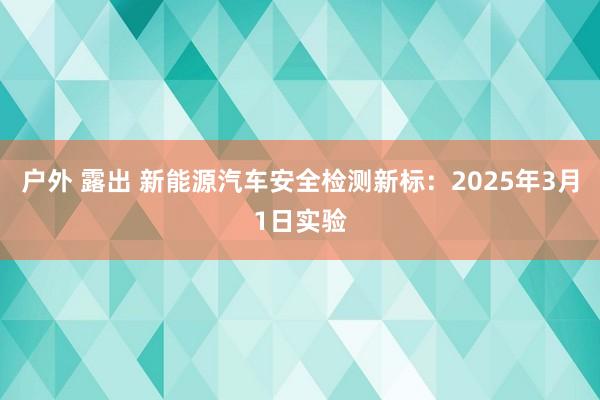 户外 露出 新能源汽车安全检测新标：2025年3月1日实验