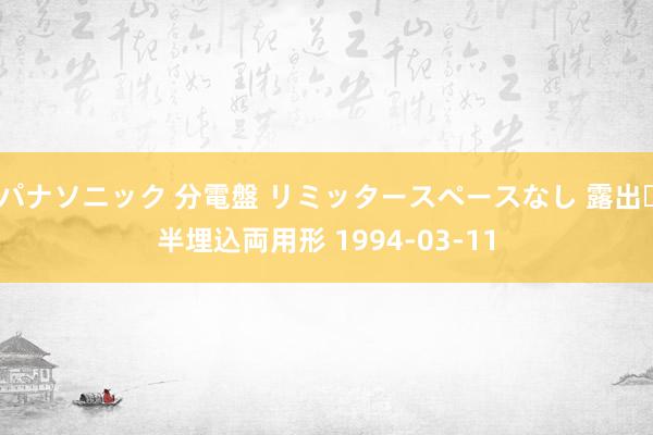 パナソニック 分電盤 リミッタースペースなし 露出・半埋込両用形 1994-03-11